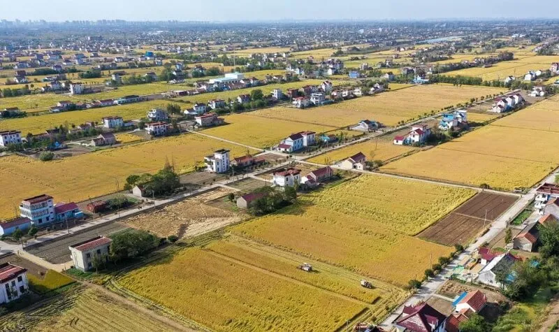 Jogja Daily | Omah Persawahan Berbasis Eco-Edutourism